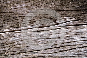 Wood cracks textured background for design photo