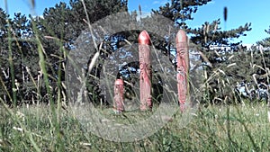 Real pagan altar in the forest with idols in summer light.