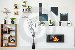 Real photo of a bio fireplace next to a wooden bookcase with orn