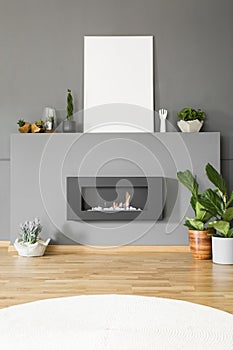 Real photo of a bio fireplace with plants and mockup poster in l