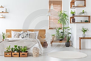 Real photo of a botanical bedroom interior with wooden shelves,