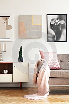 Bright sitting room interior with cupboard with fresh plant, herringbone parquet and couch with pastel pink blanket