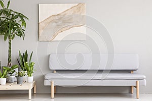 Real photo of a cozy gray couch standing next to a wooden platform with plants in a simple, scandi living room interior