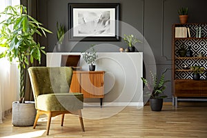 Real photo of dark living room interior with green armchair, vintage cupboards, fresh plants and poster on wall with wainscoting