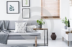 Real photo of end table with fresh plant and tea cup standing by grey couch with cushions and blanket in white sitting room interi