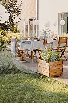 Real photo of a garden with a table, lamps and wooden box with plants