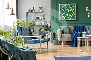 Real photo of green living room interior