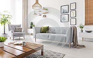 Real photo of grey sofa with green cushion and blanket standing in white living room interior with simple posters, fresh plants, a