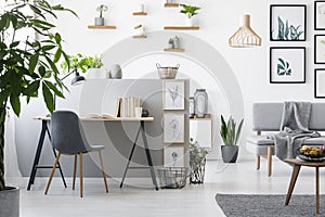 Real photo of a home office interior with a living room. Modern furniture and paintings on the wall