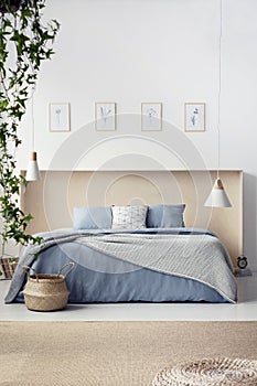 Real photo of king-size bed in wooden box standing in white room