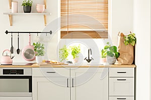 Real photo of a kitchen cupboards, countertop with plants, food, and shopping bag, and window with blinds in a kitchen interior photo