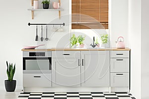 Real photo of a kitchen interior with white cupboards, pink accessories, plants and window blinds