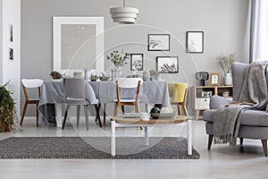 Real photo of light grey living room interior