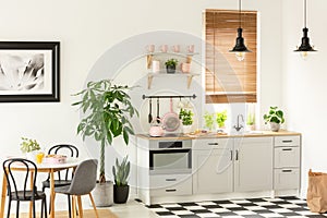 Real photo of a modern kitchen interior with cupboards, plants, shelves and pink accessories next to a dining table and chairs photo