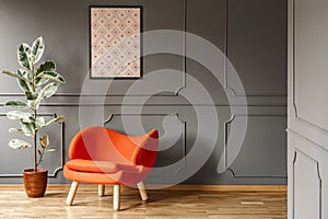 Real photo of open space dark grey living room interior with poster hanging on wall with wainscoting, orange armchair and fresh p