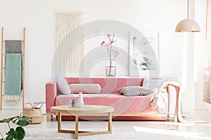 Real photo of a pink sofa with cushions and blanket standing behind a wooden table in bright living room interior with a hanging photo