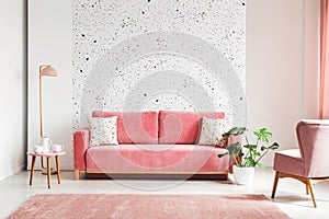 Real photo of a pink, velvet sofa, plant, coffee table with pot