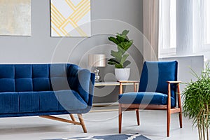 Real photo of a retro armchair next to a modern sofa with a plan