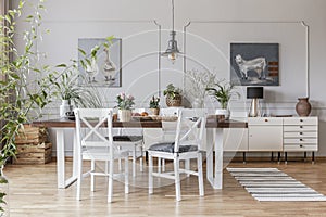 Real photo of a rustical dining room interior with a wooden table, chairs and plants photo