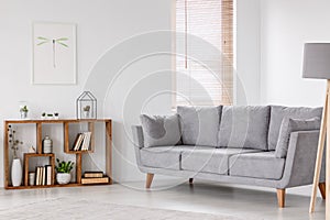 Real photo of a scandi living room interior with gray settee sta