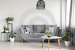 Real photo of a simple living room interior with a grey sofa, plants and coffee table