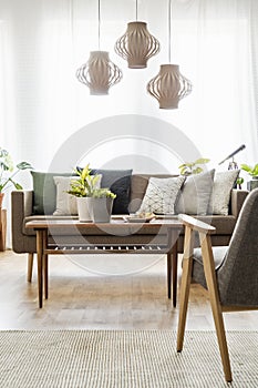 Real photo of a table with plants standing between a sofa with c