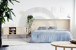 Real photo of white bedroom interior with double bed with blue s