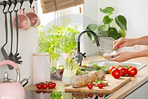 Real photo of a woman making sandwiches for breakfast in a bright kitchen interior with wooden cutting board and lots