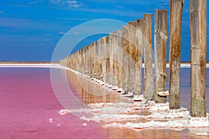 Real pink color salt lake and deep blue sky landscape, Ukraine