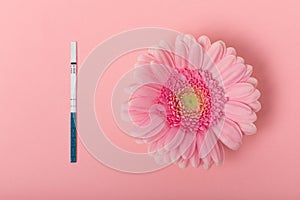 A real real pregnancy test on a pink background with a gerbera flower close-up