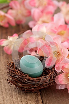 Real Robins Egg with Pink Spring Flowers