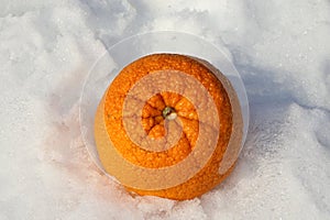 Vitamin C- Cold and flu season story photo