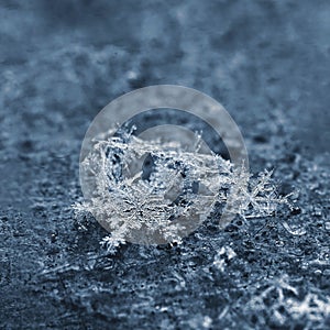 A real snowflake. Beautiful macro shot of frozen snow in winter