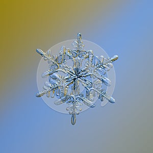 Real snowflake glittering on smooth gradient background