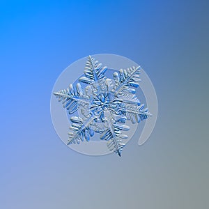 Real snowflake glittering on smooth gradient background