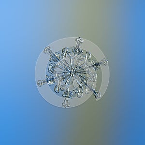 Real snowflake glittering on smooth gradient background