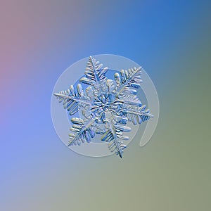 Real snowflake glittering on smooth gradient background