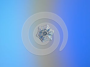 Real snowflake glittering on smooth gradient background