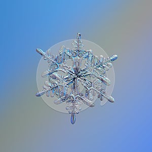 Real snowflake glittering on smooth gradient background