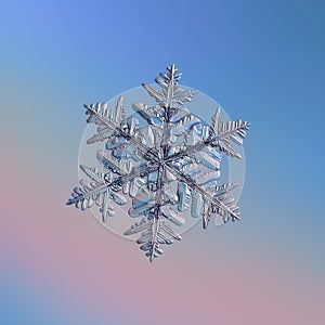 Real snowflake glittering on smooth gradient background