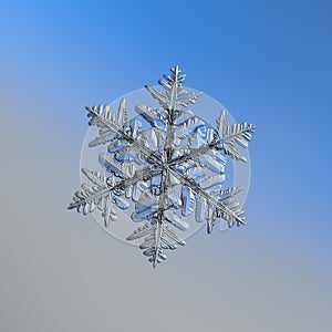 Real snowflake glittering on smooth gradient background