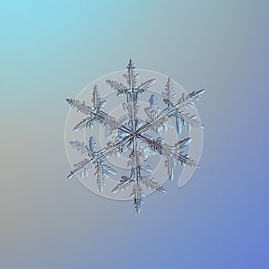 Real snowflake glittering on smooth gradient background