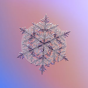 Real snowflake glittering on smooth gradient background