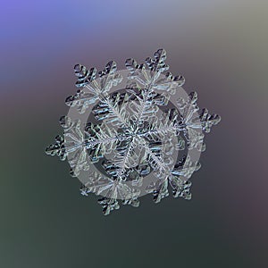Real snowflake glittering on smooth gradient background