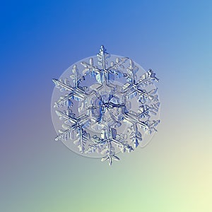 Real snowflake glittering on smooth gradient background