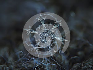 Real snowflake glowing on dark textured background