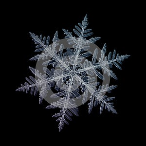 Real snowflake isolated on black background