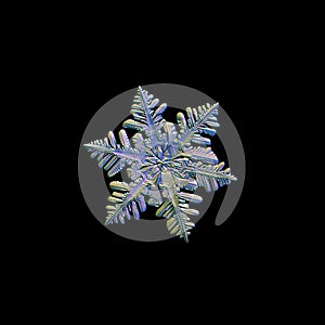 Real snowflake isolated on black background