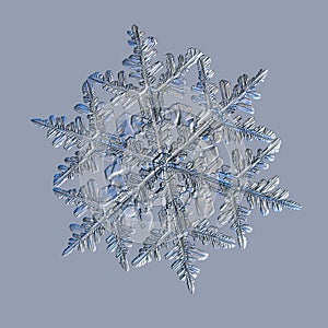 Real snowflake isolated on uniform blue background