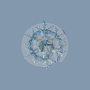 Real snowflake isolated on uniform blue background